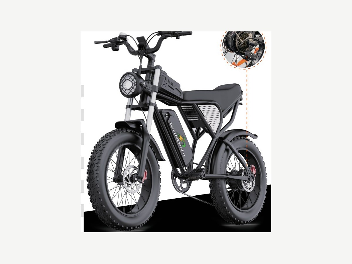VERDE VENTO electric bicycle